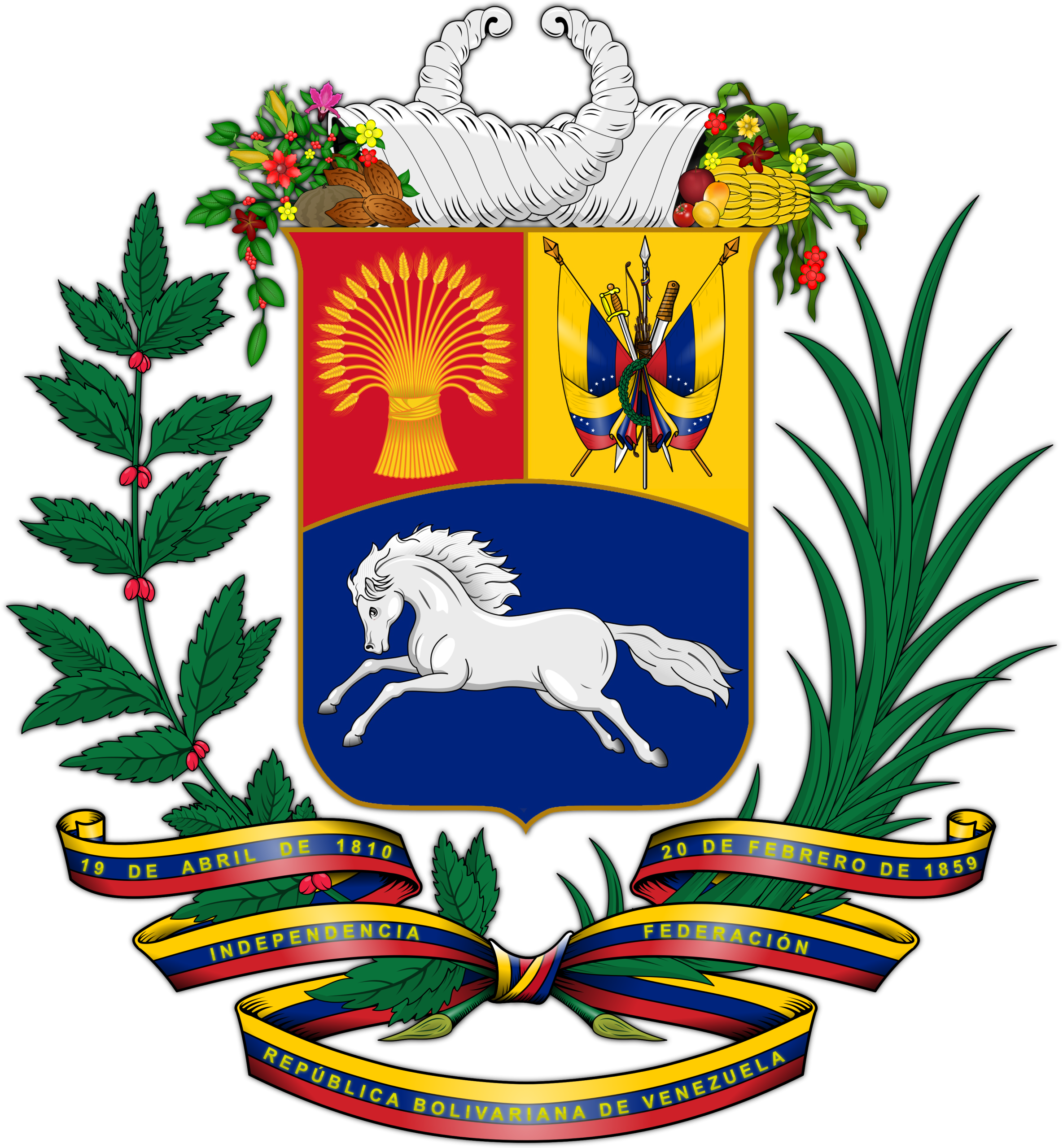 Exclusive IPTV Service in Venezuela